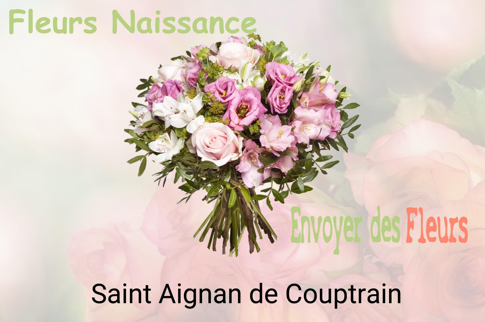 Bouquet de fleurs de naissance livré à Saint-Aignan-de-Couptrain